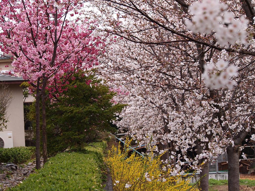 Hotel Ukai 笛吹市 エクステリア 写真